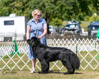 20250830-DSC02334