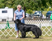 20250830-DSC02335