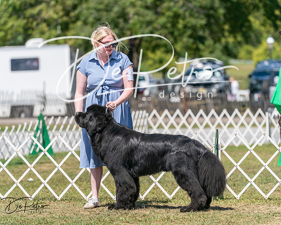 20250830-DSC02335