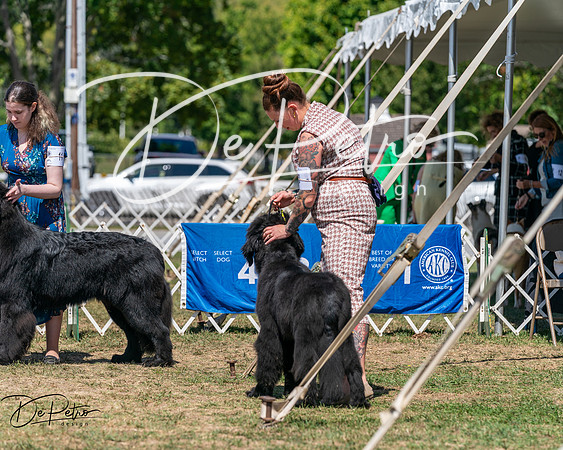 20250830-DSC02340