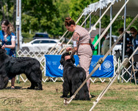 20250830-DSC02341