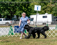 20250830-DSC02346