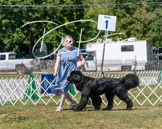 20250830-DSC02346
