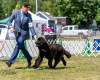 20250830-DSC02366