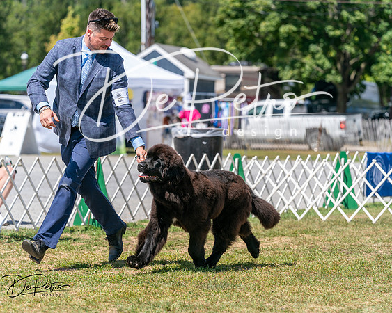 20250830-DSC02366