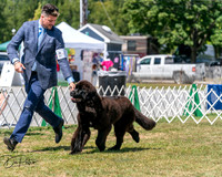 20250830-DSC02367