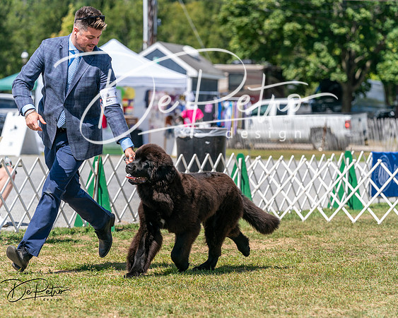 20250830-DSC02367
