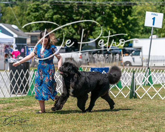 20250830-DSC02371