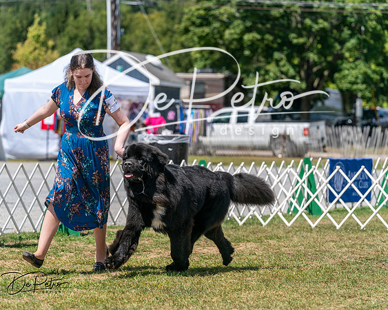 20250830-DSC02382
