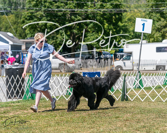 20250830-DSC02385