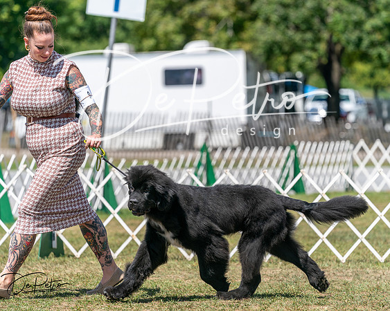 20250830-DSC02395