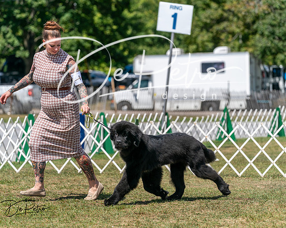 20250830-DSC02402