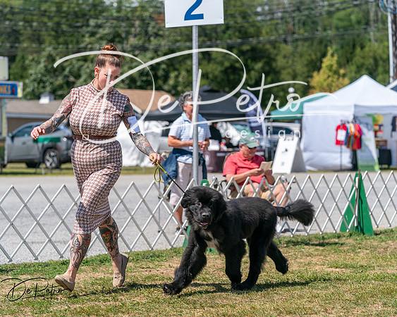 20250830-DSC02419