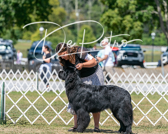 20250830-DSC02428