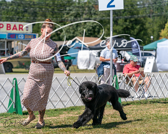 20250830-DSC02425