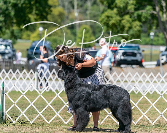 20250830-DSC02429