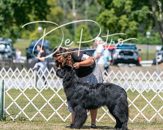 20250830-DSC02430