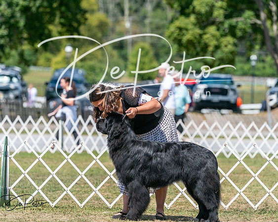 20250830-DSC02431