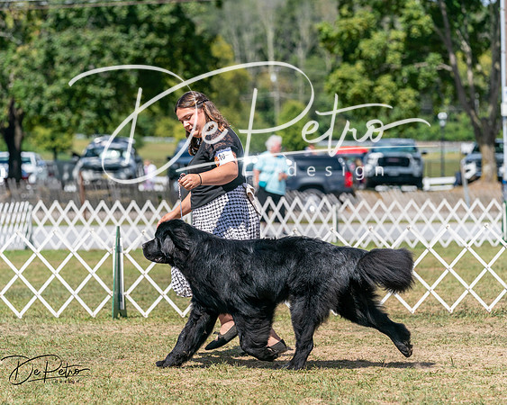 20250830-DSC02435