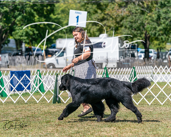 20250830-DSC02451