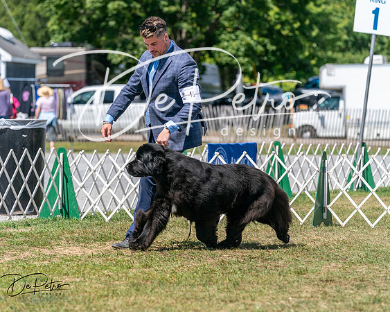 20250830-DSC02469