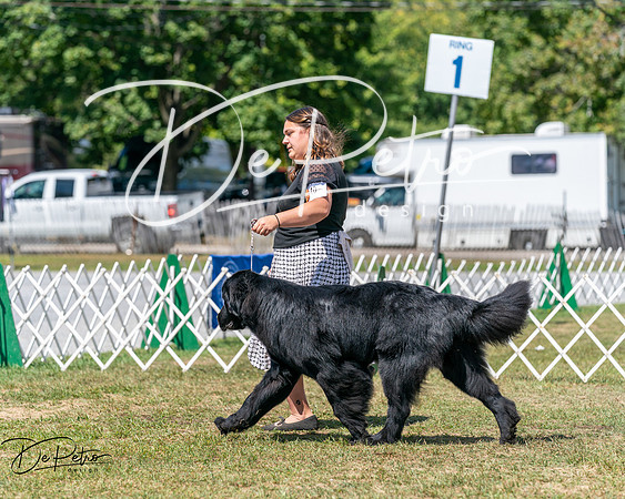 20250830-DSC02457