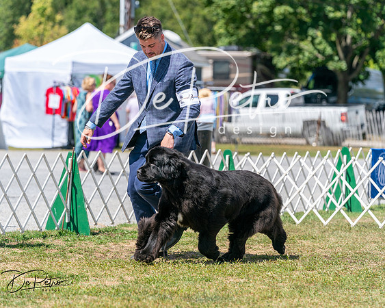 20250830-DSC02479