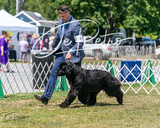 20250830-DSC02474