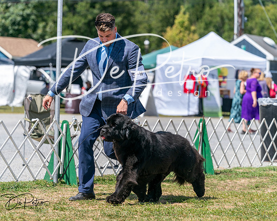 20250830-DSC02493
