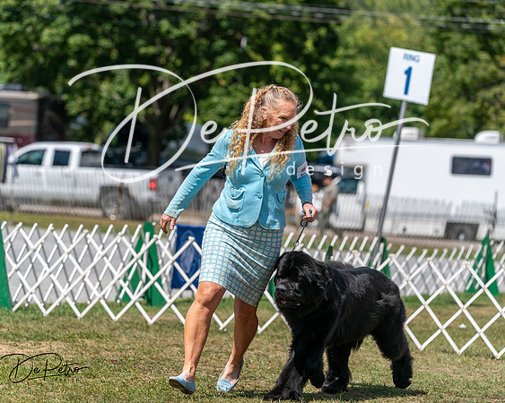 20250830-DSC02514