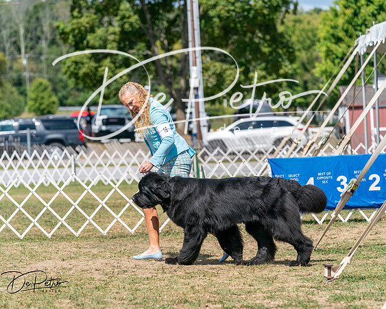 20250830-DSC02519