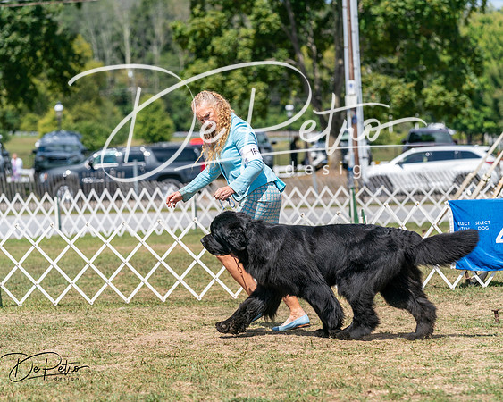 20250830-DSC02524