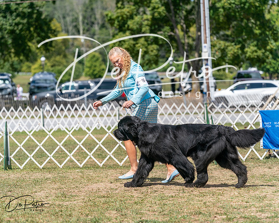 20250830-DSC02525