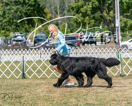 20250830-DSC02531