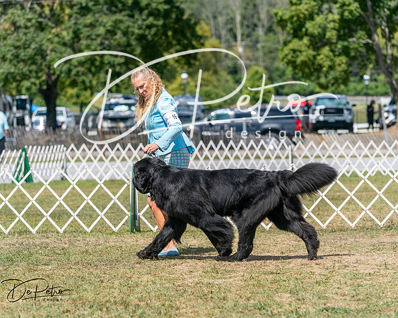 20250830-DSC02537