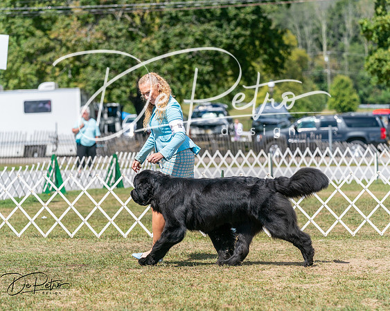 20250830-DSC02543