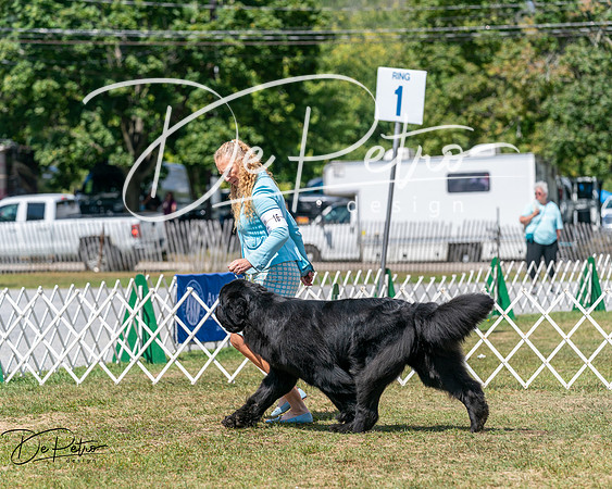 20250830-DSC02561