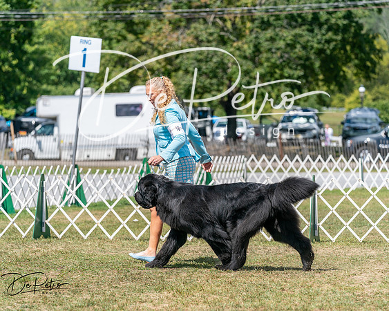 20250830-DSC02549