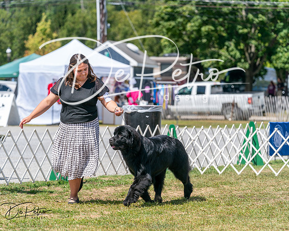 20250830-DSC02565
