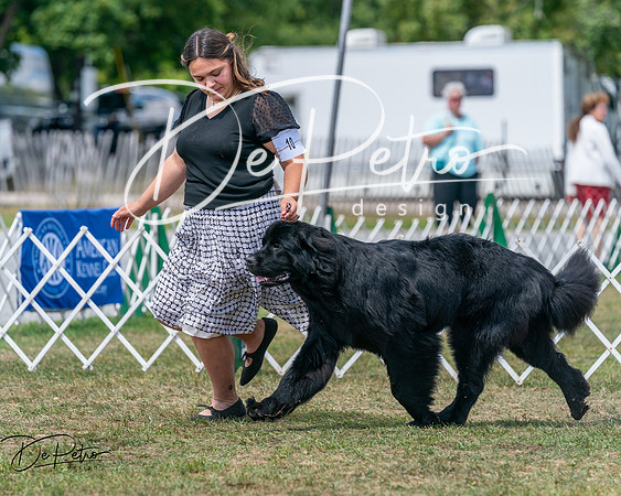 20250830-DSC02574
