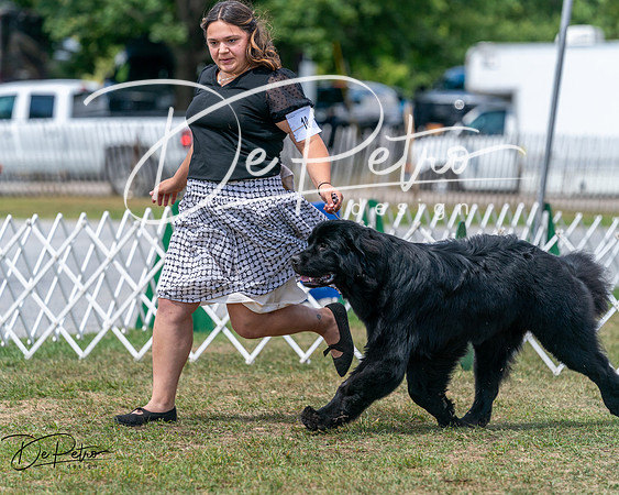 20250830-DSC02577