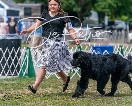 20250830-DSC02580