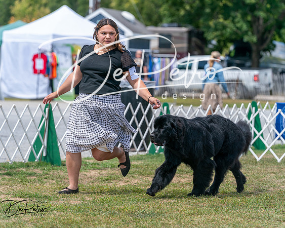 20250830-DSC02585