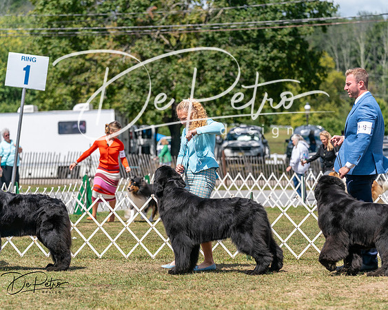 20250830-DSC02593