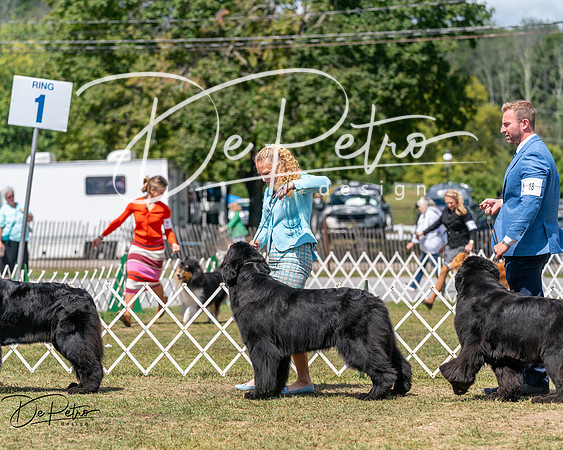 20250830-DSC02594