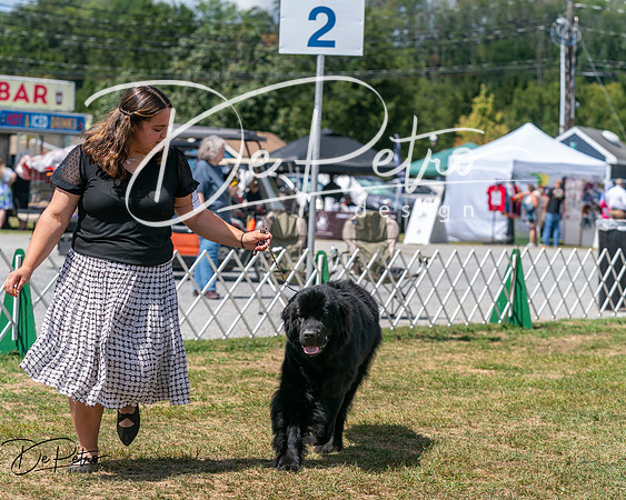20250830-DSC02627