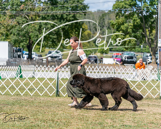 20250830-DSC02631