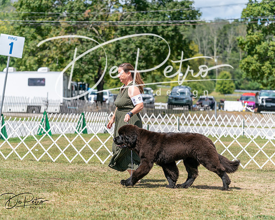 20250830-DSC02634