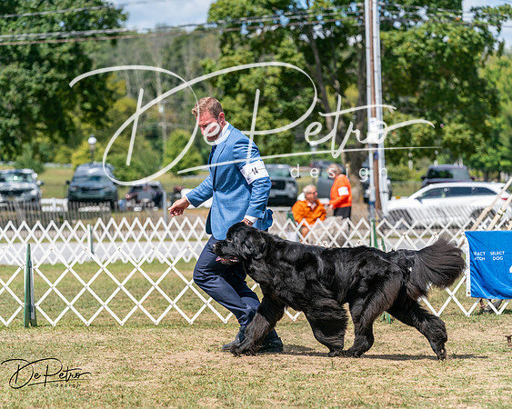 20250830-DSC02642