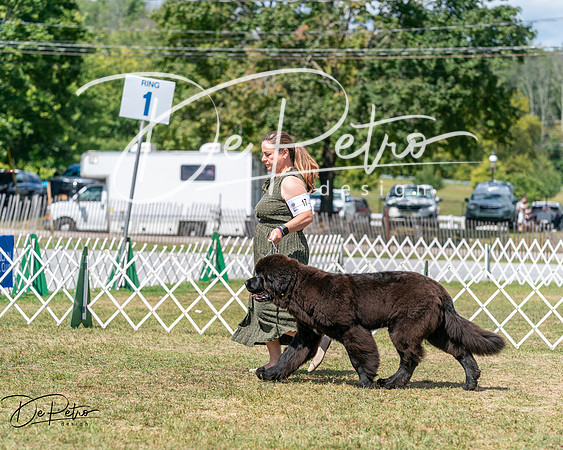 20250830-DSC02637
